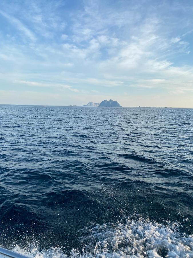 High End Sea Cabins At A In Lofoten Москенес Экстерьер фото